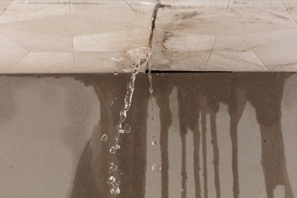 Professional Water Damage Repair technician working in Gwynedd, PA